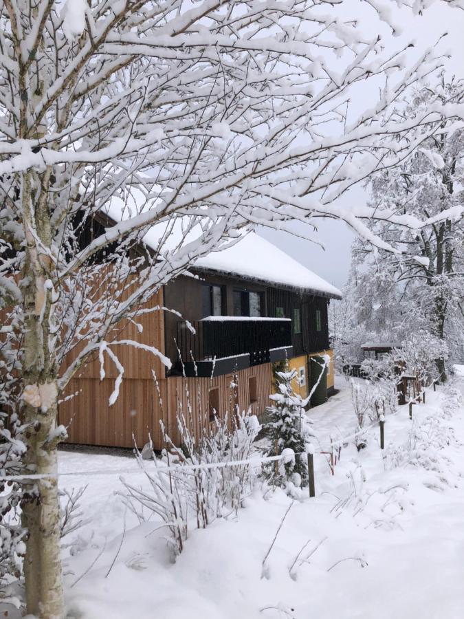 Apartment Stillleben Luxus Fuer Die Seele Abtenau Kültér fotó